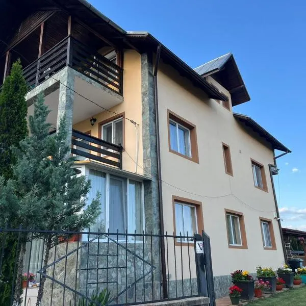 Pensiunea Casa Domnitei, hotel in Baia de Fier