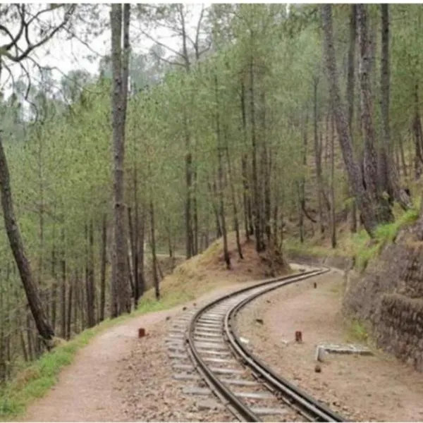 Mountain Majesty Kasauli !!, hotel in Kasauli