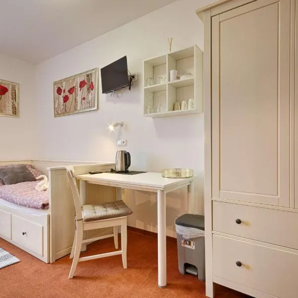 Penzion Šmolovy 238, hotel in Havlickuv Brod