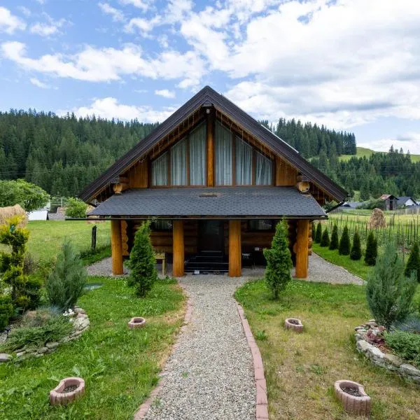 Alvi, hotel in Vatra Moldoviţei