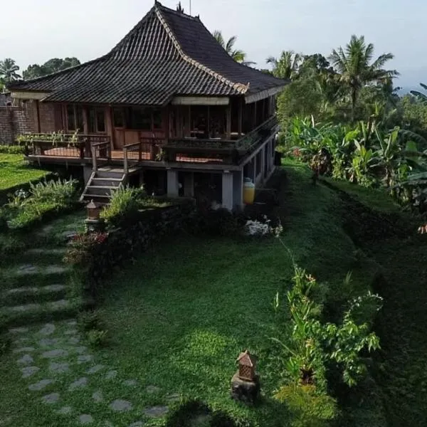 Rumah Pacung, hotel v destinaci Penebel