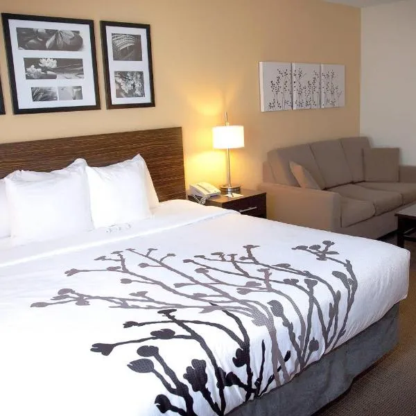 Sleep Inn & Suites Moundsville - Wheeling, ξενοδοχείο σε Moundsville