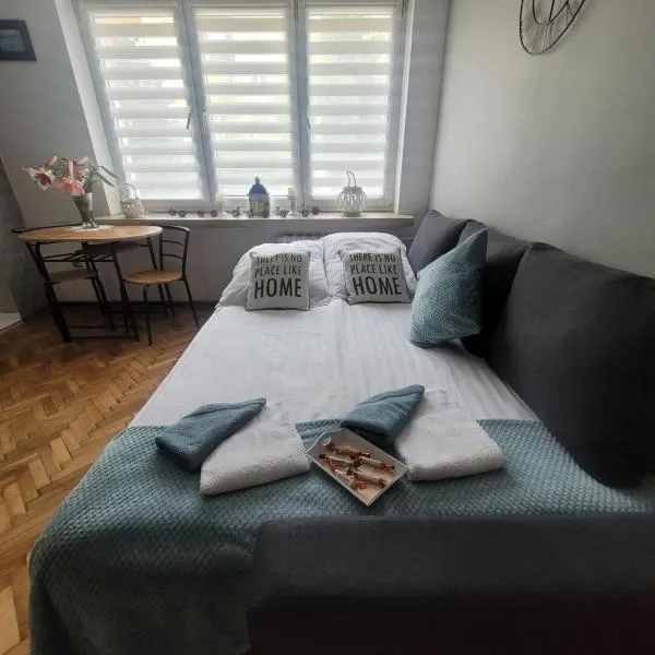 Apartament Park Saski, hotel in Sandomierz