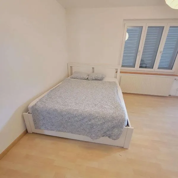 5-Bed Huge Flat in Zurich City - Schurgi - Self Checkin, hotel in Zürich