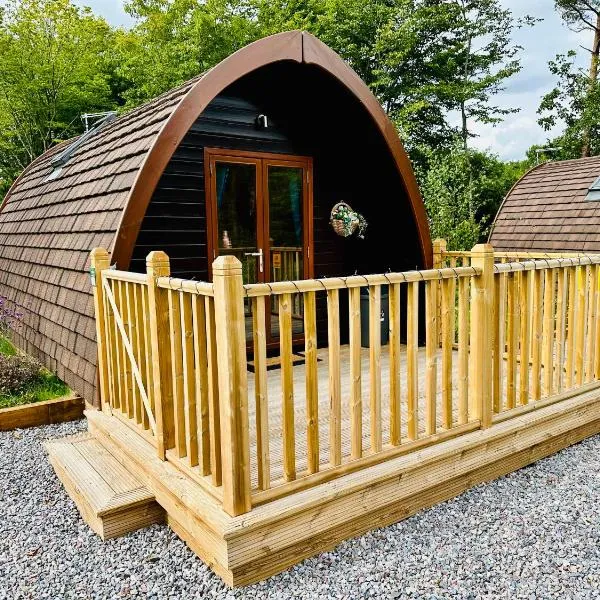 Homely Pod By The Moor & Fishing, hotel a Cheriton Bishop