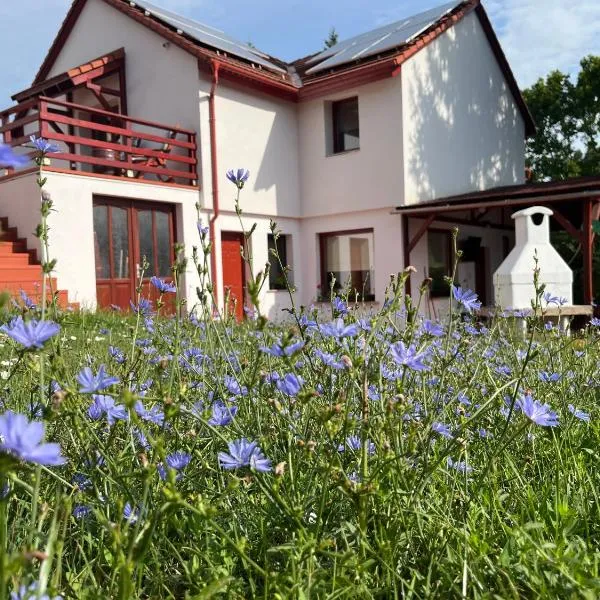 Gyimesvölgy Vendégház, hotel in Verőce