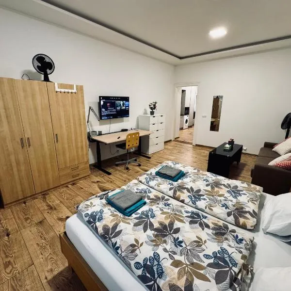 Apartment with Workspace and TV，位于Nový Lískovec的酒店