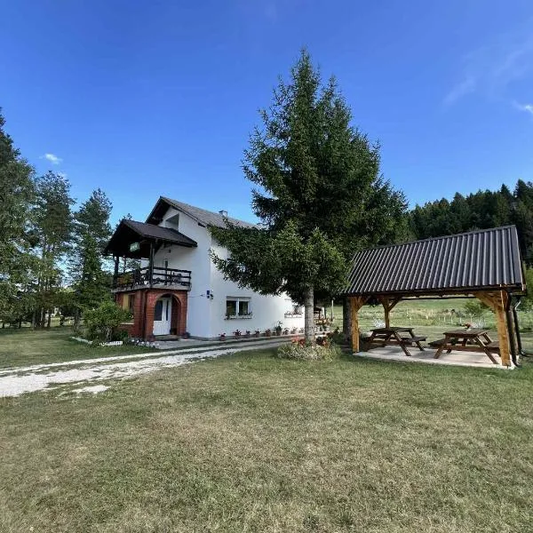 Rooms Danica, hotel u gradu 'Donji Babin Potok'