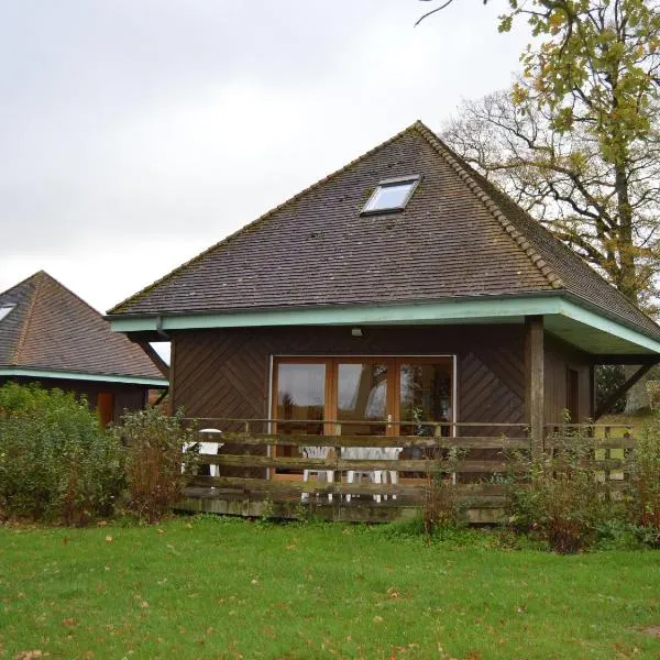 Chalet en pleine nature à Orsennes avec étang à proximité, idéal pour 6 personnes et animaux admis - FR-1-591-170, hôtel à Orsennes