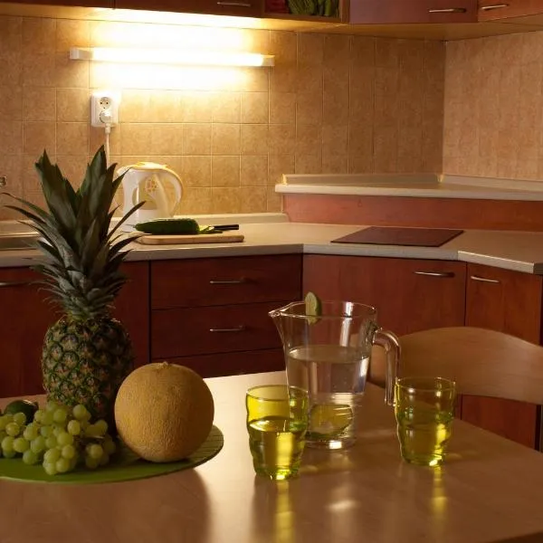 Apartmány REKO Kadaň, hotel v Kadani