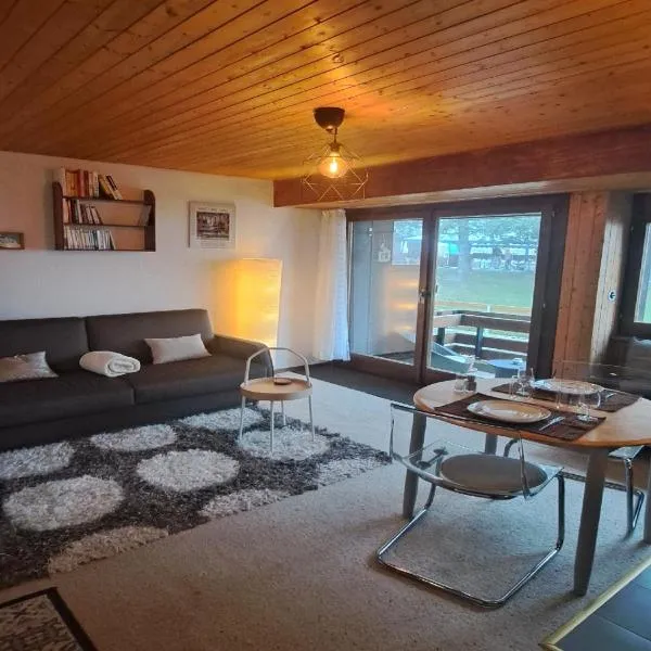 Très joli studio au centre de la station、アンゼールのホテル