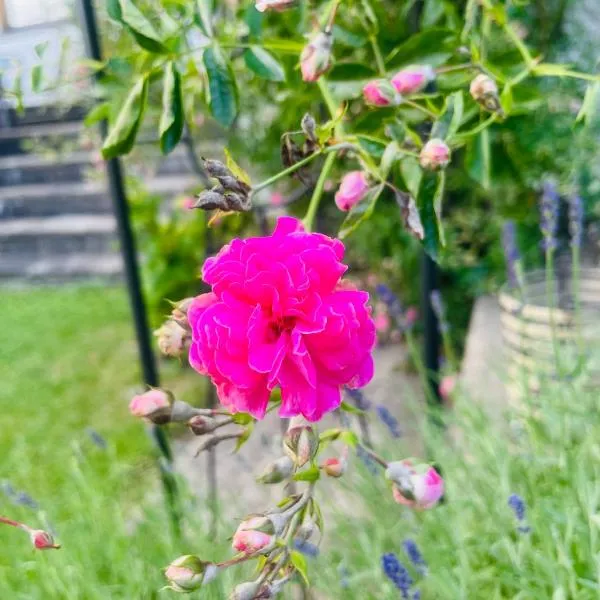 Wohlfühlpension Kreischberg inklusive MurauGästeCard, hotel a Sankt Georgen ob Murau