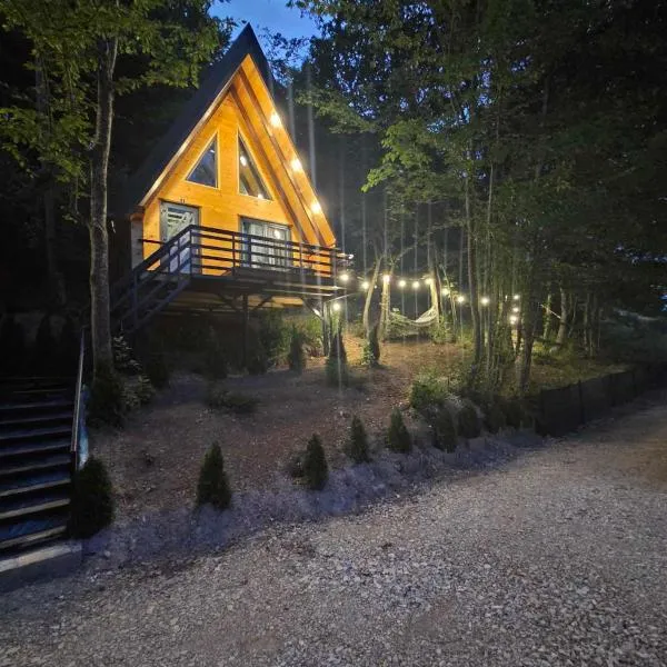 Visitor Place, hotel in Plav