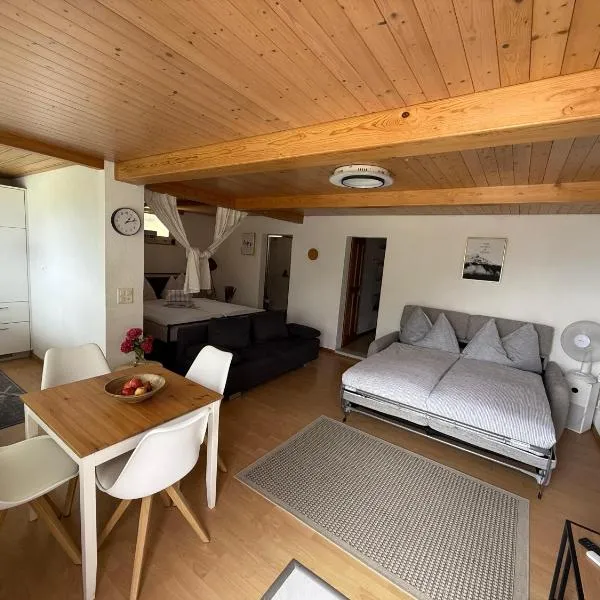Studio with lake and mountain view, hotell i Spiez