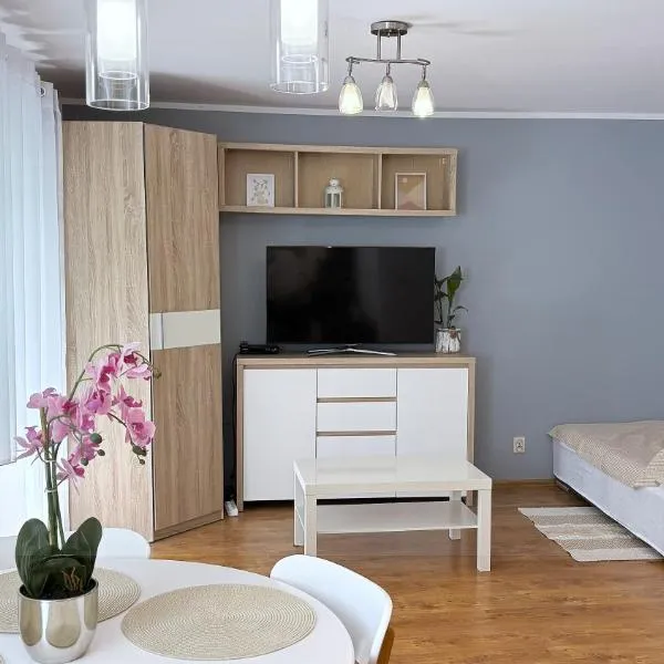 Apartament Krasickiego, hotel en Zielona Góra