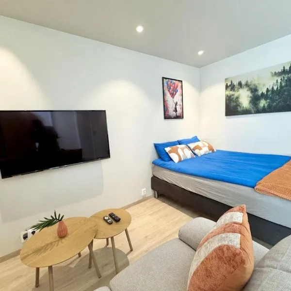 Chic and Modern Studio - Central، فندق في أوسلو