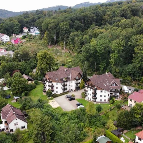 扎克森斯坦布里克公寓，位于巴特萨克萨的酒店
