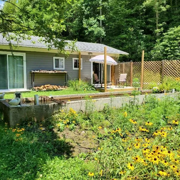 Nantahala Spiritual Retreat - Remote and Peaceful!, hotel in Topton