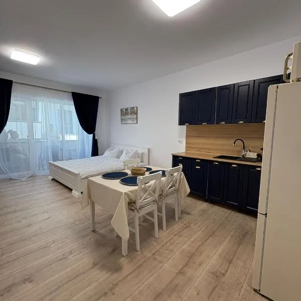 Studio Felix Relax MAO 13&14, hotel in Baile Felix