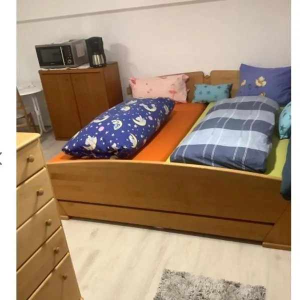 Doppelzimmer mit neuem Bad und Sportpool-Nutzung außen, Villa Naturpark, Garten mit Rheinblick, hotel a Coblenza