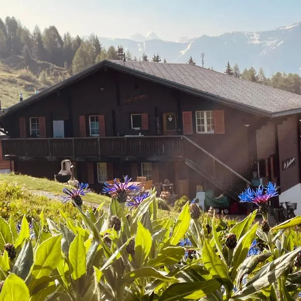 Chalet La Montanara, hotel in Bettmeralp