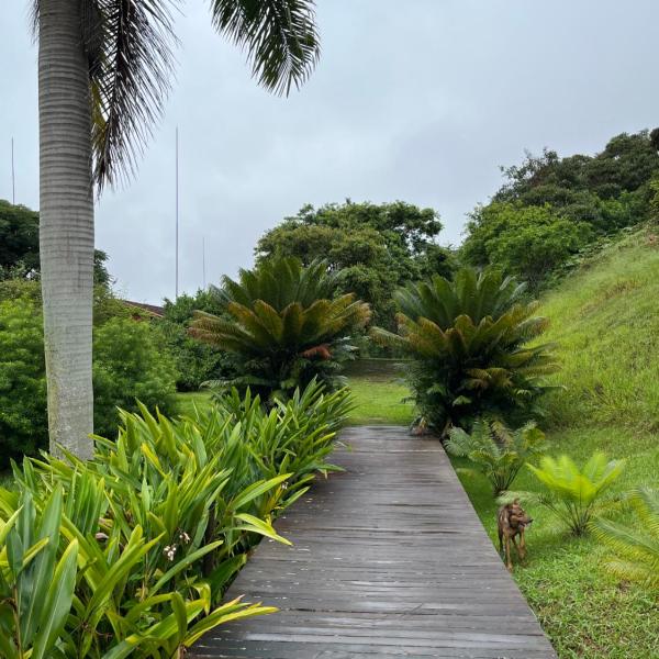 casa na serra carioca - Secretário - Foto 3