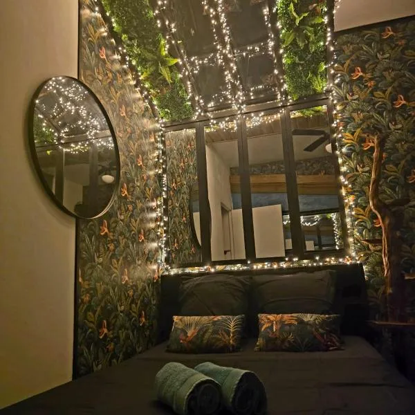 Le reflet exotique, hotel en Saint-Pierre