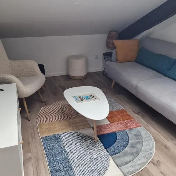 Cocon sous les toits By UnSejourANancy Fr, hotel in Nancy