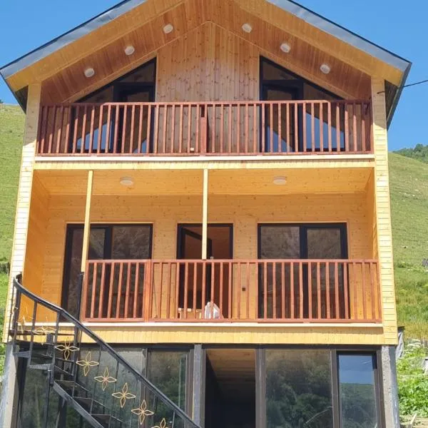 Vista Adishi, hotel in Adishi