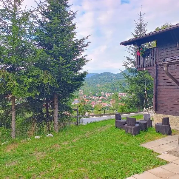 Panoramic Chalet, khách sạn ở Vişeu de Sus