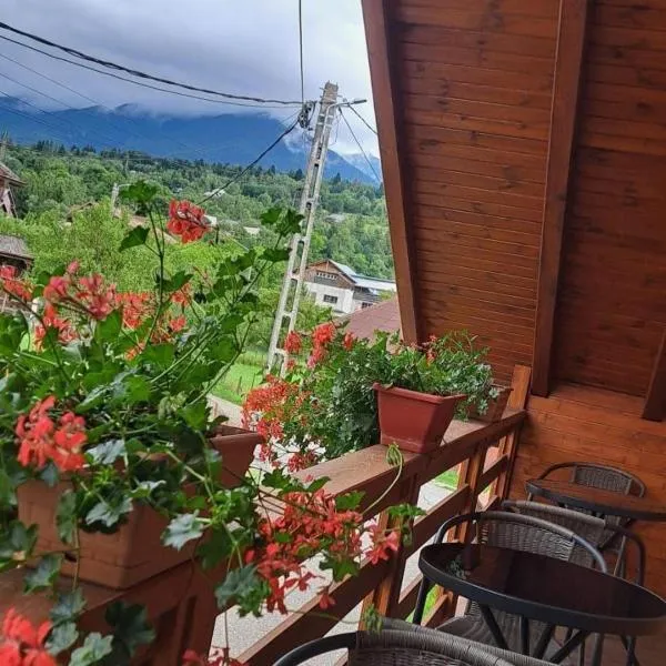 Casa Cristiana Moisei, hotel in Moisei