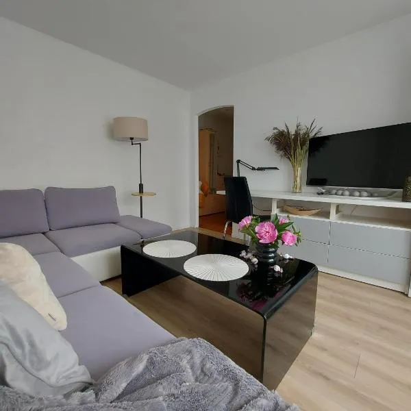 Apartment Ventspils iela 22, hotel di Rēzekne