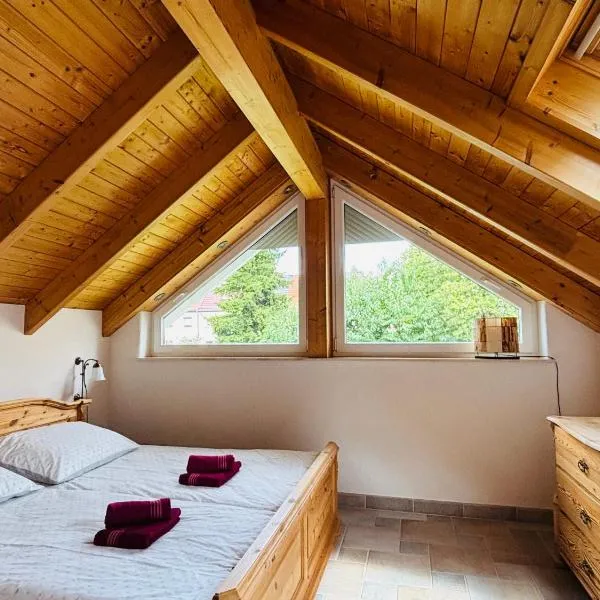 Casa Armonia Halle- Ruhige Ferienwohnung am Pestalozzipark und Gesundbrunnen, hotel in Halle an der Saale