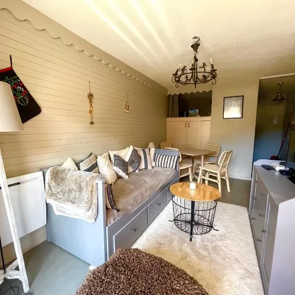 Appartement 35 m2 4p proche des pistes de ski la foux d Allos, hotel a La Foux d'Allos