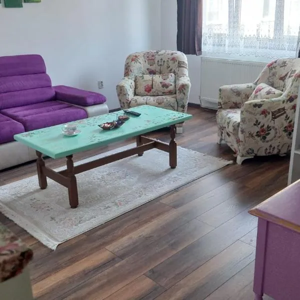 Apartament în Sighetu Marmației, hotel in Sighetu Marmaţiei