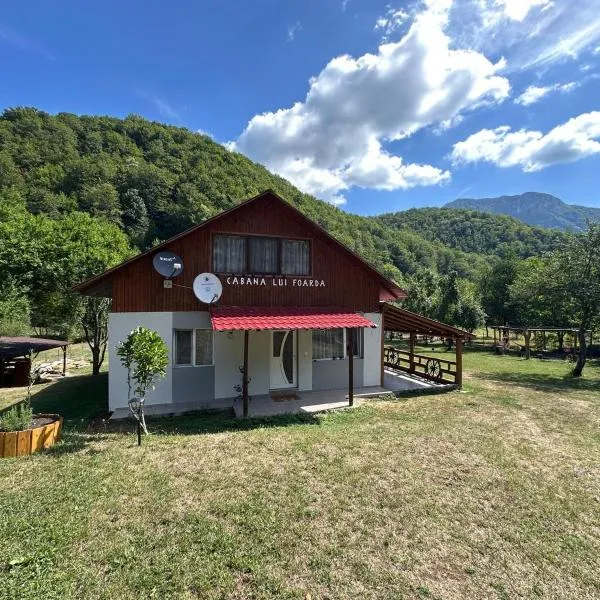 Cabana lui Foardă, hotel v destinaci Motru Sec
