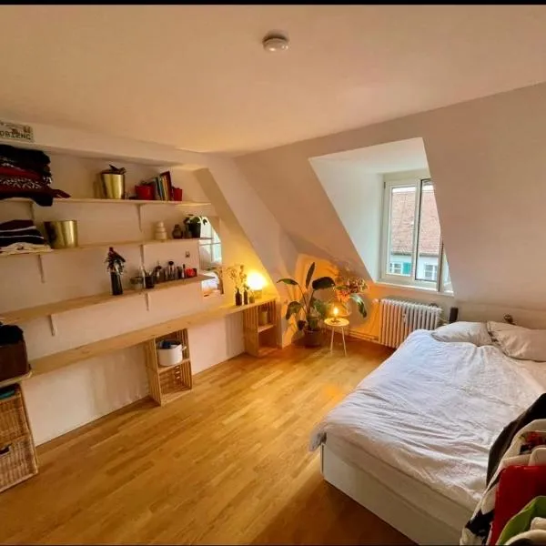 Cosy room in attic flat in the center of Zurich, hotel Zürichben