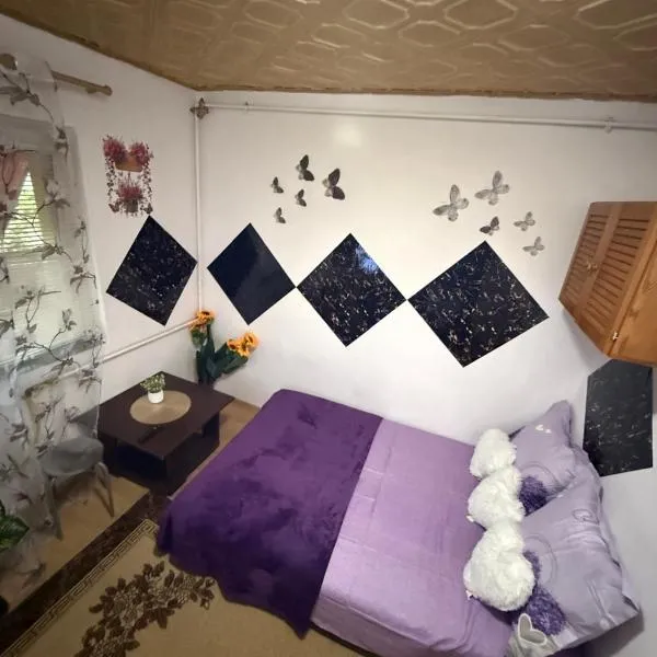 Dorina gazdă, hotel en Lugoj