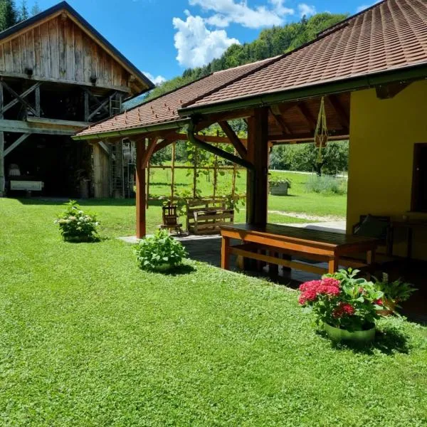 Pr DOLENC, hotel a Petrovče