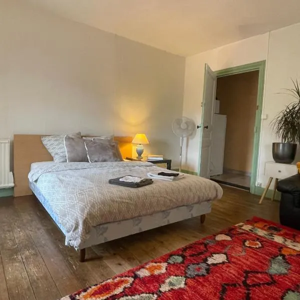 Grand studio et jolies chambres à louer, hotel a Passins