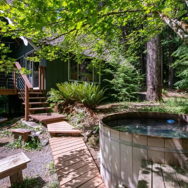 Fog & Fern Hideaway at Mount Rainier, hotel in Ashford