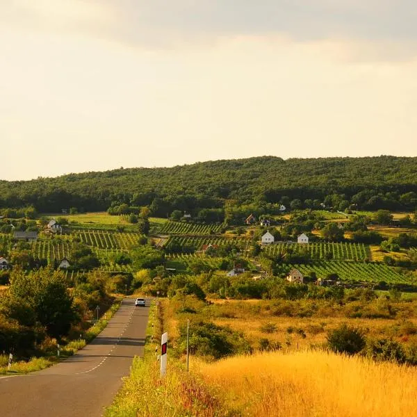 Első Ház Tagyon, hotel sa Tagyon