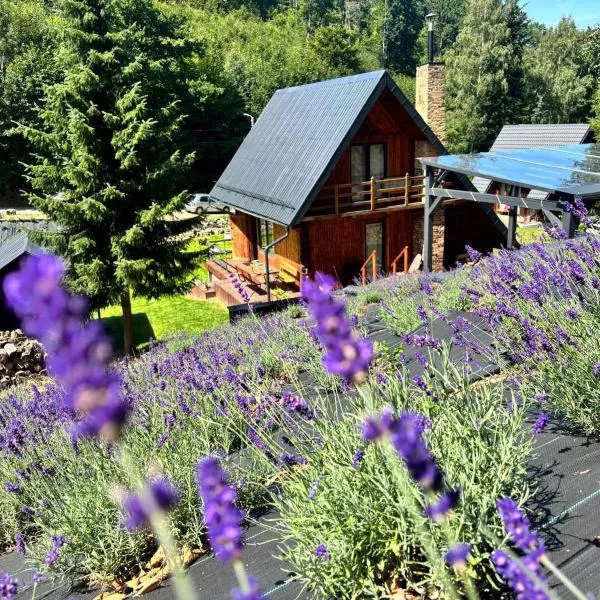 Lawendowe wzgórze, hotel v destinaci Pieszyce