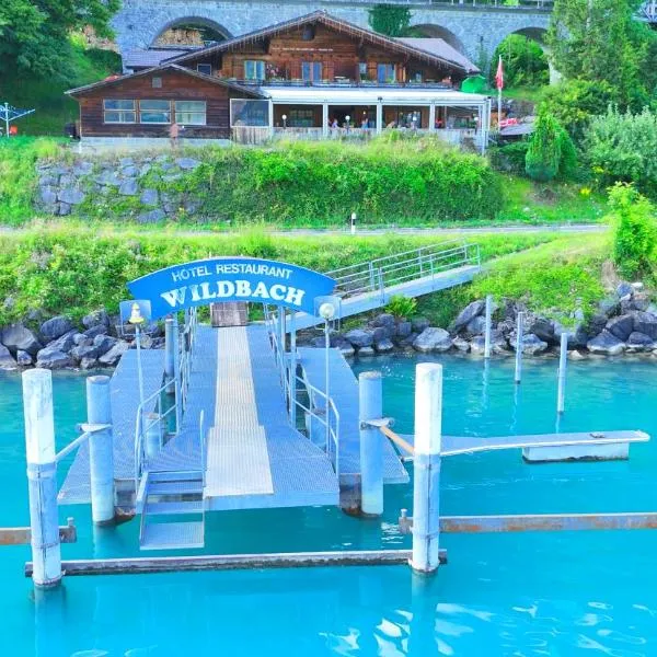 Hotel Wildbach Brienz, hotel v destinaci Brienz