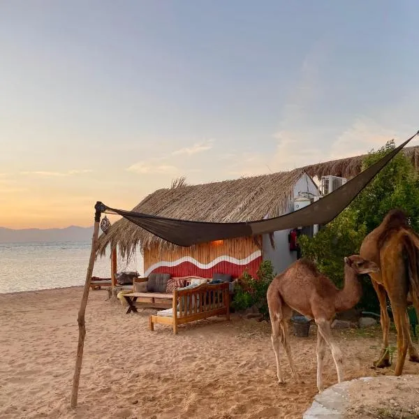 Live the bedouinlife, hotel in Nuweiba