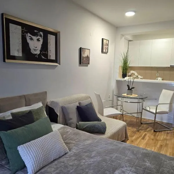 Slavia center apartment, hotel in Belgrade