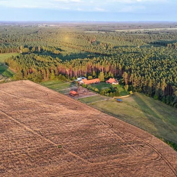 Nocleg na skraju puszczy, hotel in Ludomy