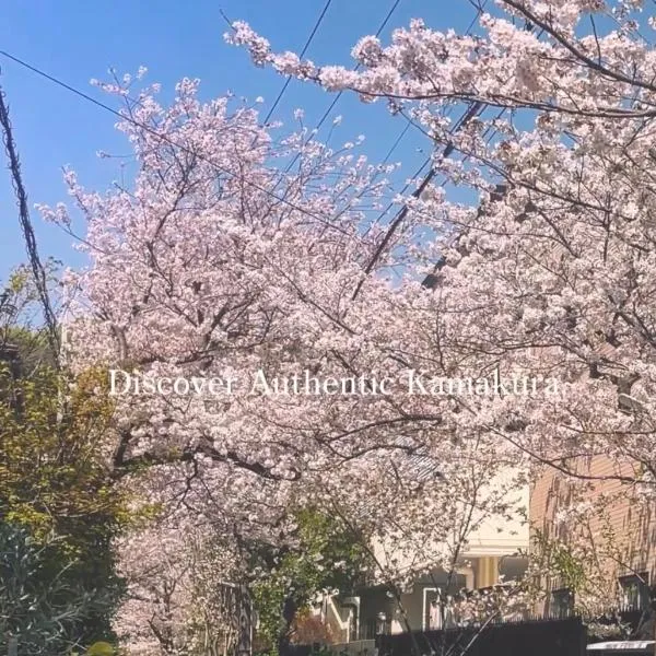 田 Den Kamakura Petと泊まれる ペット滞在費別途: Kamakura şehrinde bir otel