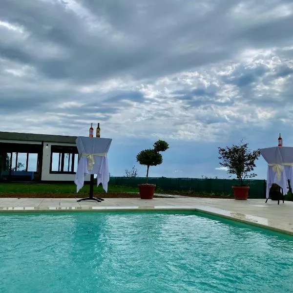 Vino & Vista, hotel in Ripanj