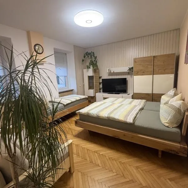 EDI APP Bovec Center、ボヴェツのホテル